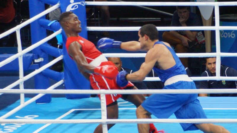 Phân loại slugger boxing
